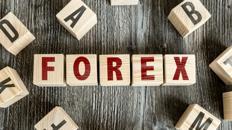 What is the Significance of Forex Spreads?