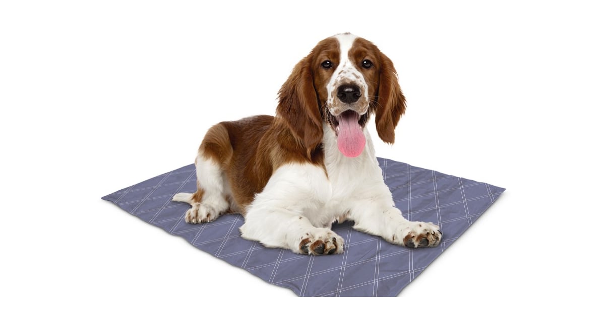 The Significance Of Waterproof Dog Mat