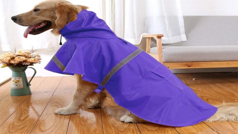 Information On Waterproof Dog Coats With Underbelly Protection