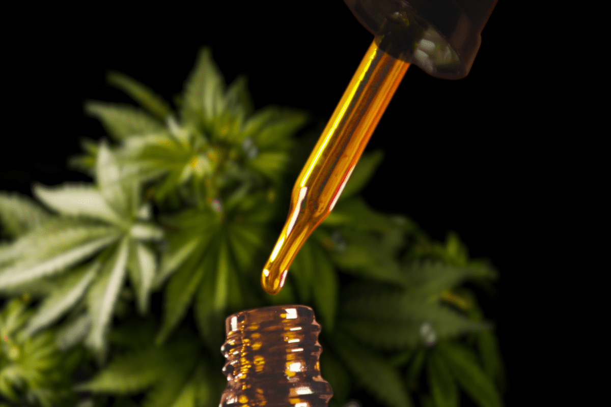 CBD Oil Shop Online – Things To Be Aware Of