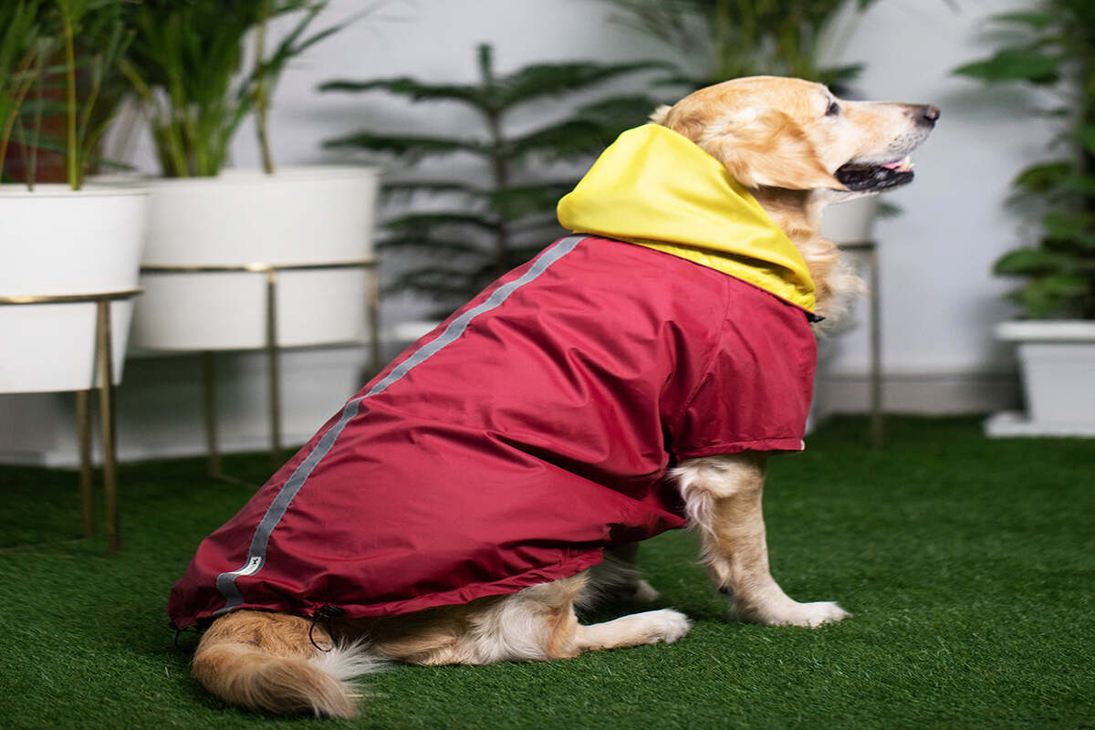 The Significance Of Dog Rain Coats