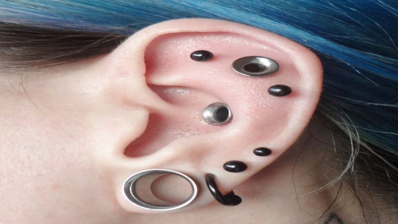 Detailed Analysis On Ear Stretcher Plugs